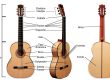 partes de la guitarra