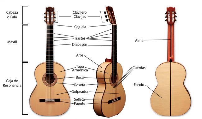 partes-de-la-guitarra partes de la guitarra