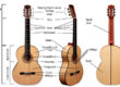 parts of a guitar