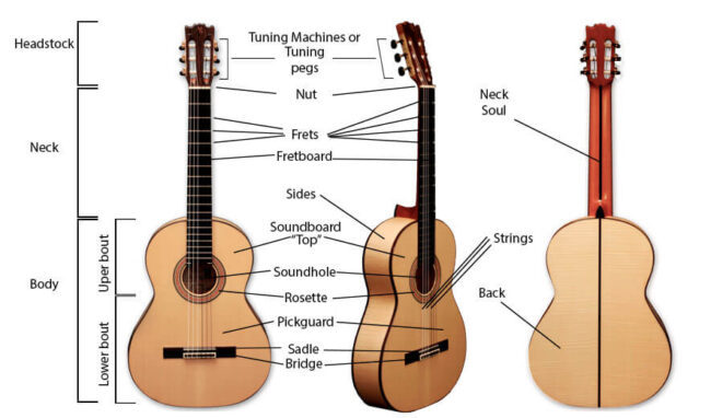 parts of a guitar