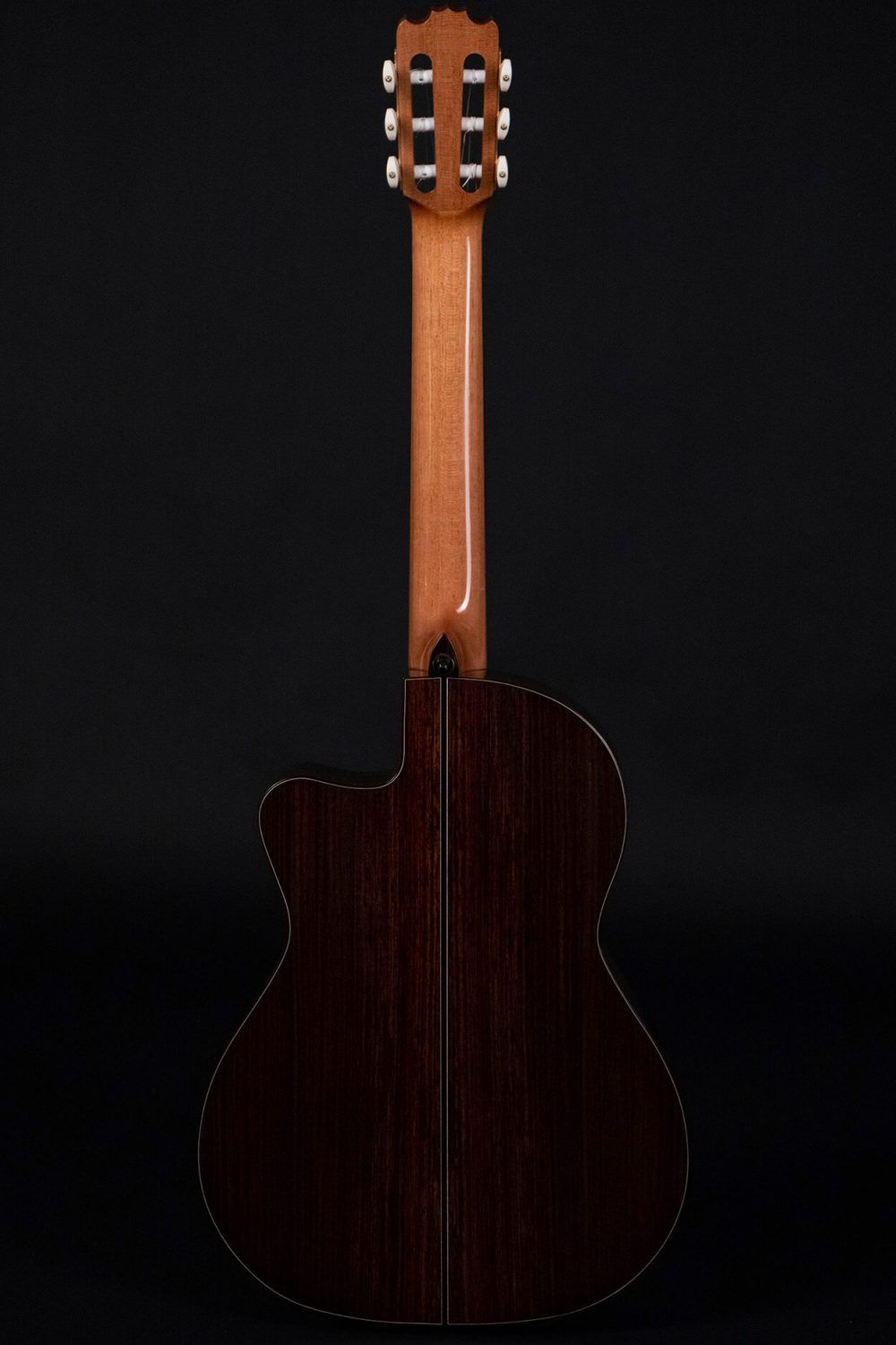 Cutaway guitar model Zambra back1