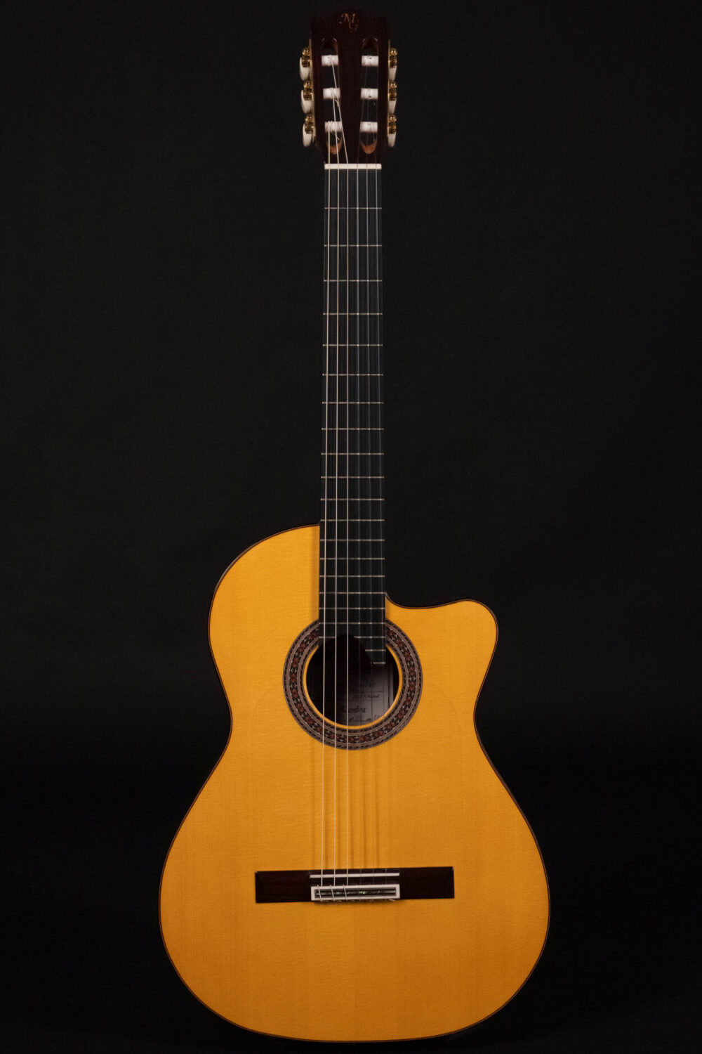 Cutaway guitar model Zambra
